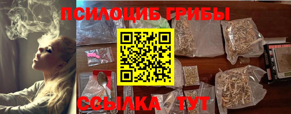 магазин продажи   Вход с VPN  Нижнекамск  Псилоцибиновые грибы Psilocybe 